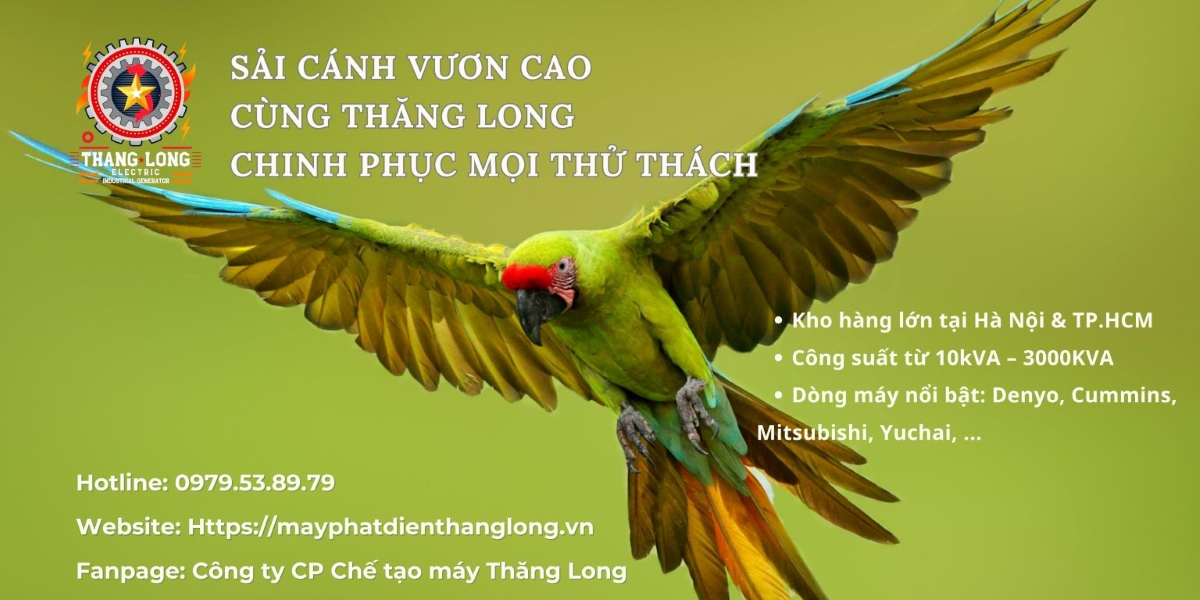 Banner May phat dien Thang Long 1